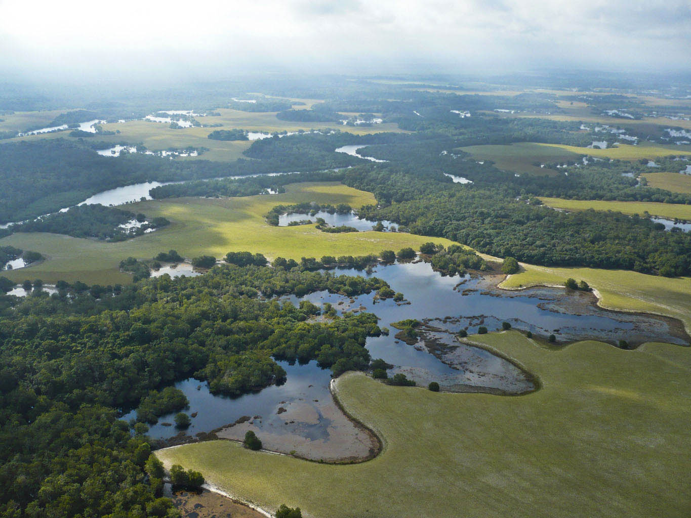 'Savanna-forest mosaic, Ogooue-Maritime, southwestern Gabon; photo. from helicopter by O.S.G. Pauwels